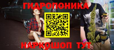 ГАЛЛЮЦИНОГЕННЫЕ ГРИБЫ Северобайкальск