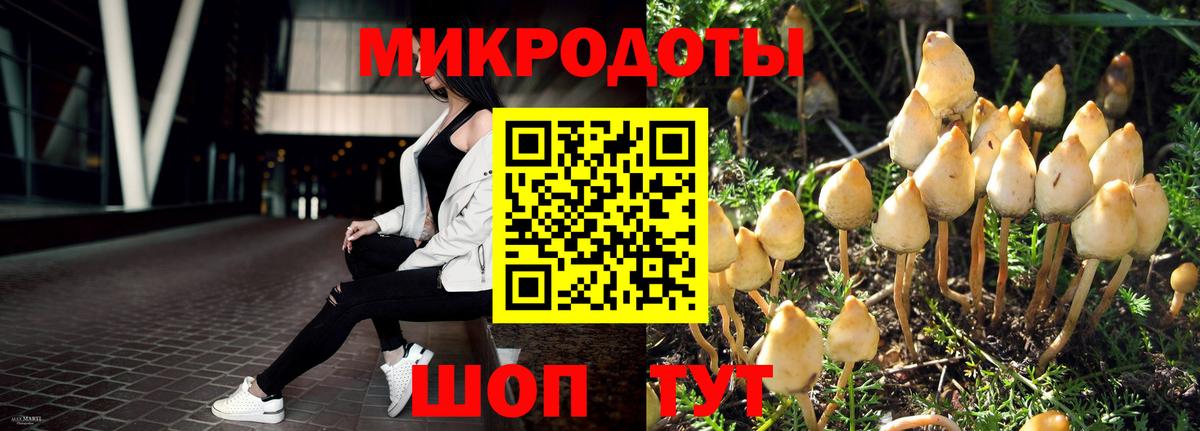 Псилоцибиновые грибы Magic Shrooms Новошахтинск