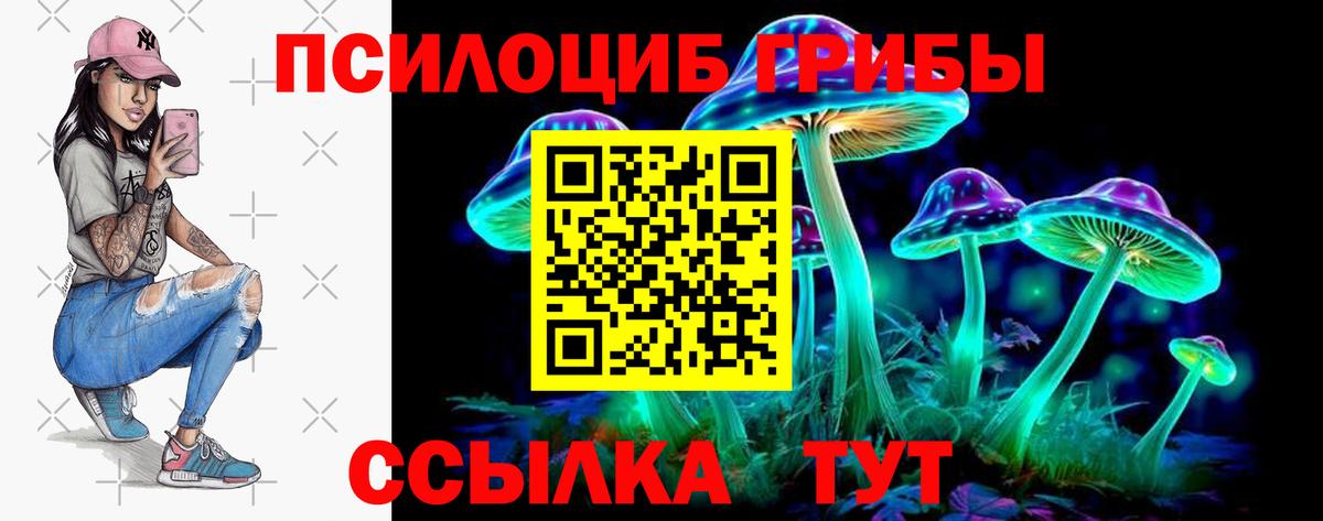 Новошахтинск  Псилоцибиновые грибы мухоморы  магазин продажи   Вход с VPN 